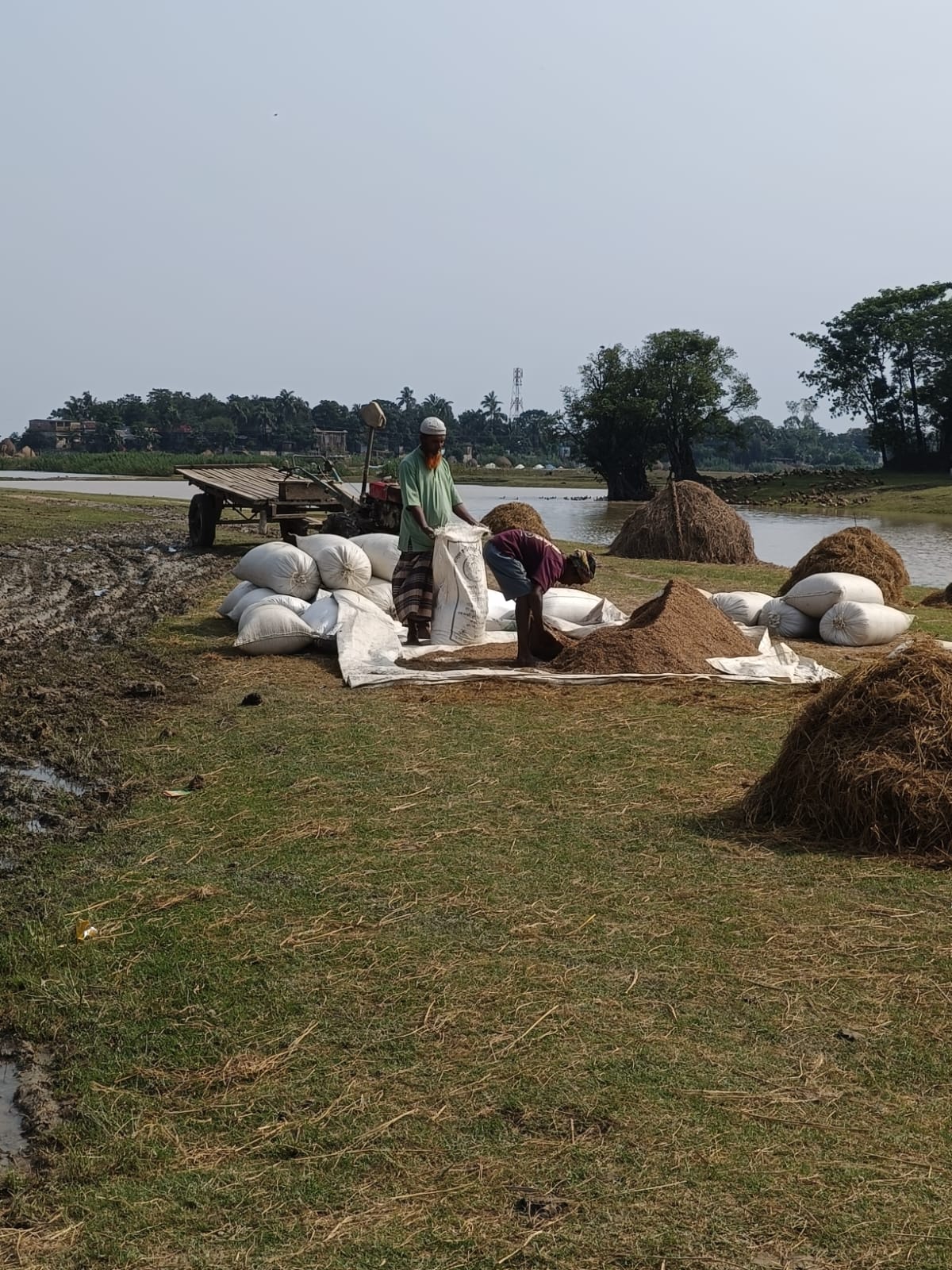 দিরাই-শাল্লায় তলিয়ে যাওয়া ফসলি জমিতে অসাধু চক্রের নজর কৃষকদের সতর্ক থাকার আহ্বান
