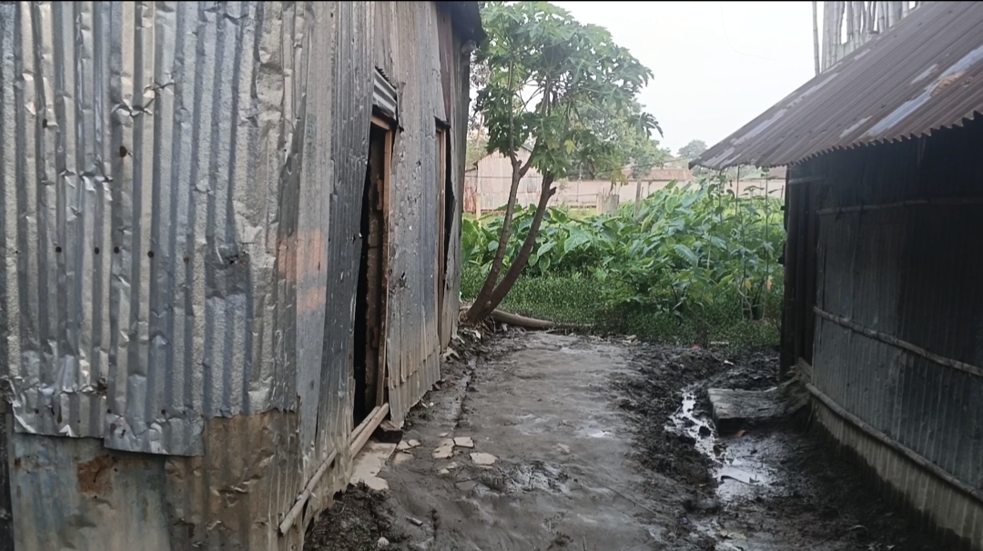 আদালতের রায় অমান্য করে ভূমি জবরদখল ও স্থাপনা নির্মাণের অভিযোগ 