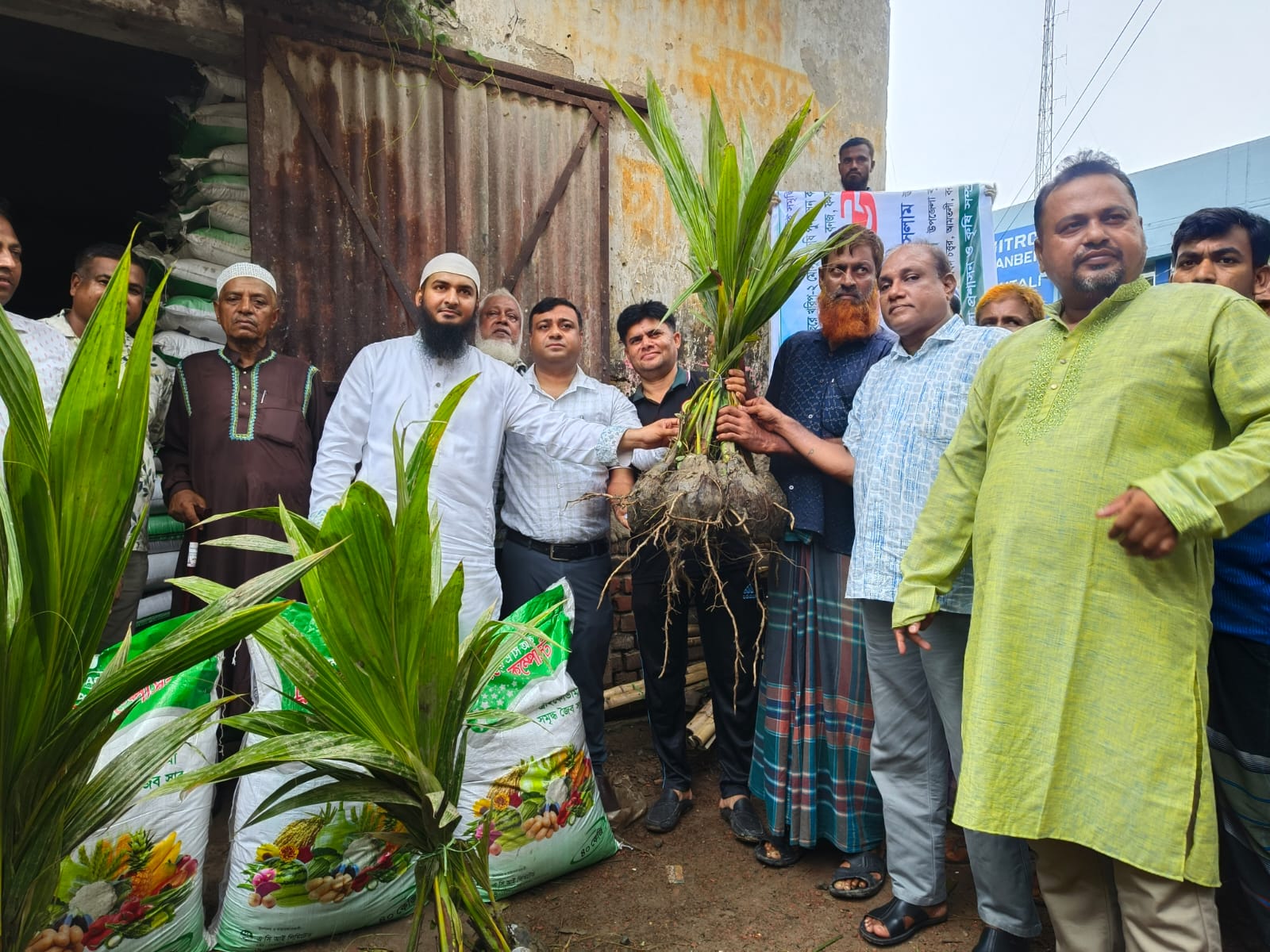 আমতলীতে গাছের চারা ও সার বিতরণ