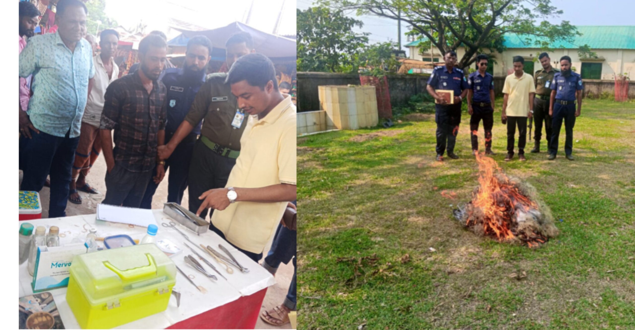 মধ্যনগরে কারেন্ট জাল জব্দ ও ধ্বংস, ভূয়া দাঁতের চিকিৎসকের কারাদণ্ড