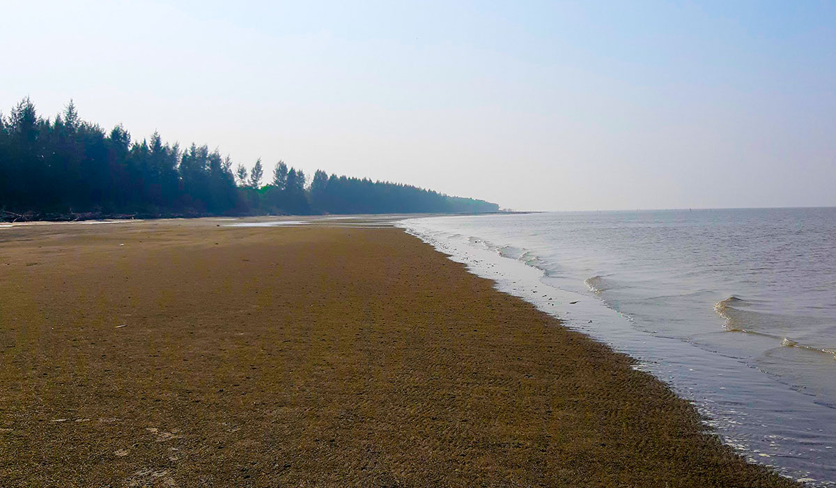 সমুদ্র সৈকতে গোসলে নেমে, ফেরা হয়নি আসাদুলের 